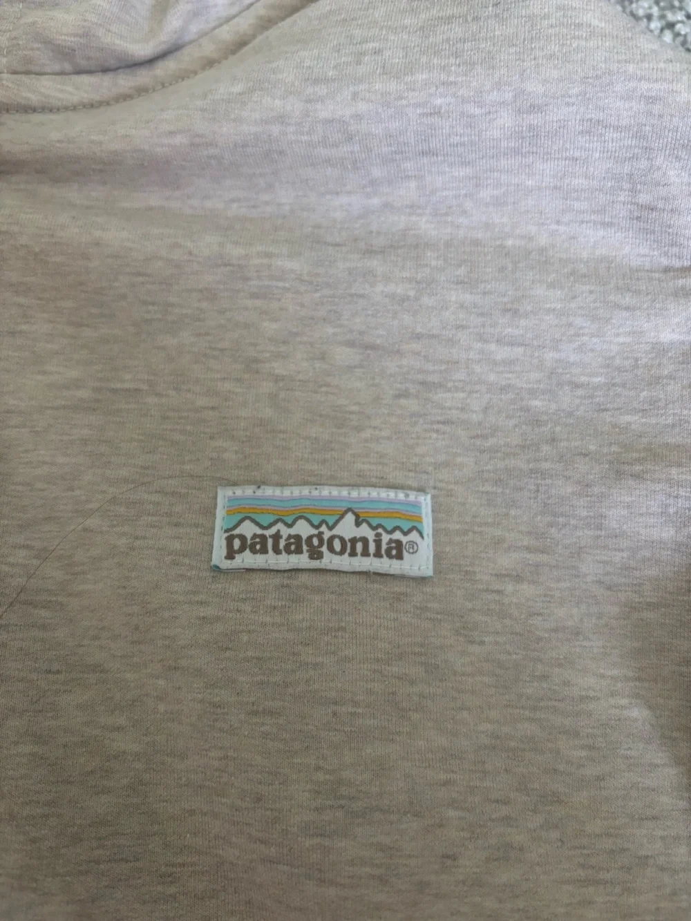 Patagonia beige crewneck with logo tag